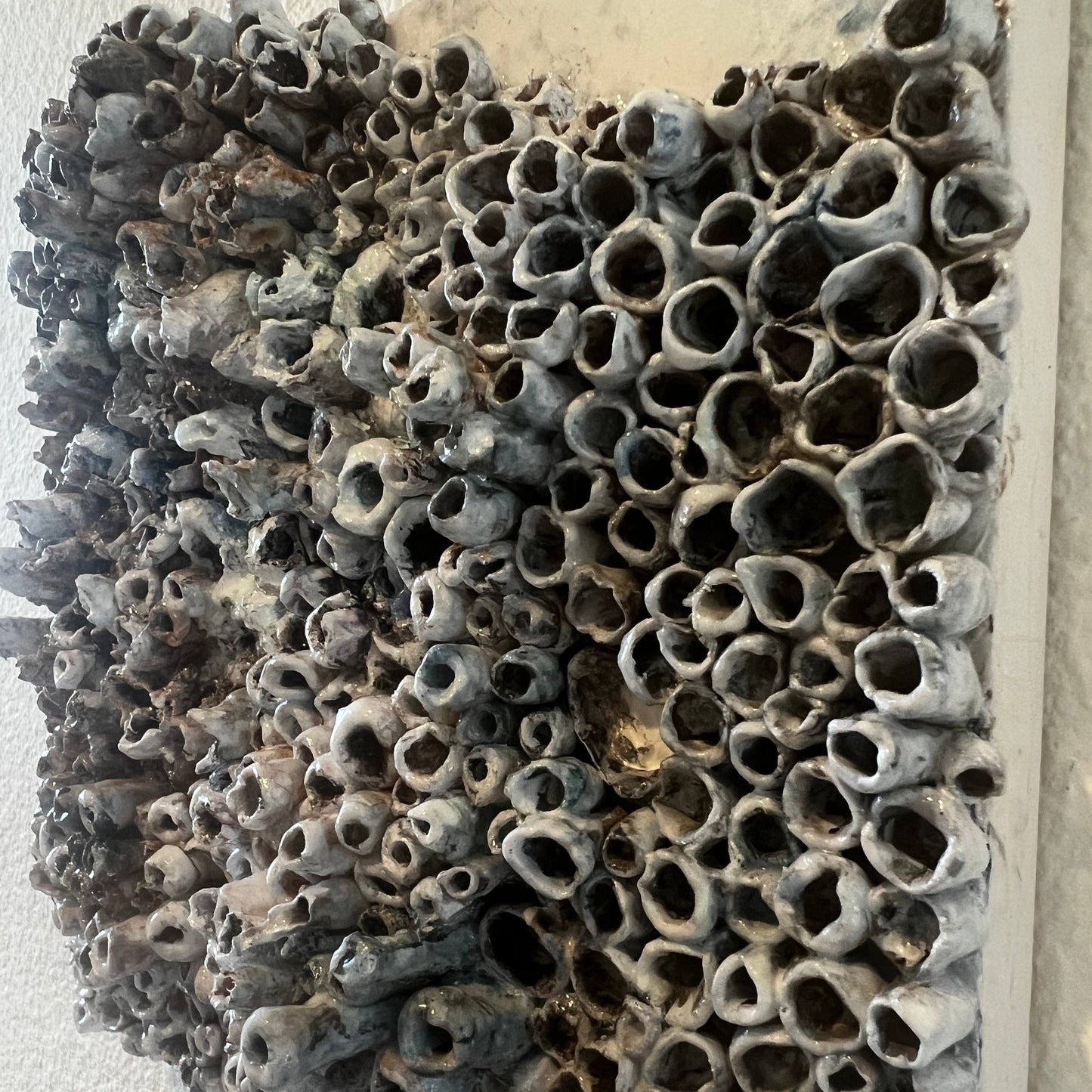 “Where Sand Meets Sea” (framed, 8 x 8 in)